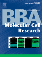 Yeast Molecular Biology: “Overexpression of budding yeast protein phosphatase Ppz1 impairs translation”