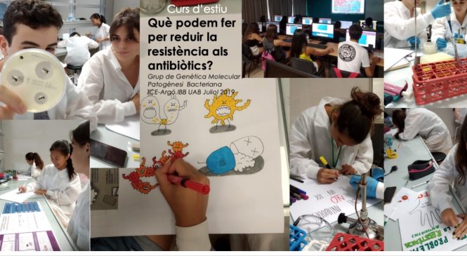 Treball divulgatiu : “Què podem fer per reduir la resistència als antibiòtics?“ – Genètica Molecular i Patogènesi Bacteriana