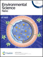 Evolutive Immunology “Polystyrene nanoplastics accumulate in ZFL cell lysosomes and in zebrafish larvae after acute exposure, inducing a synergistic immune response in vitro without affecting larval survival in vivo”