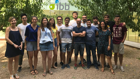 L’IBB-UAB col·laborarà amb la farmacèutica Servier per desenvolupar noves molècules que bloquegin la proteïna alfa-sinucleïna, l’acumulació de la qual és la principal responsable de la malaltia neurodegenerativa de Parkinson.