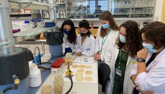 Programa Argó a l’IBB: Què podem fer per reduir la resistència als antibiòtics?