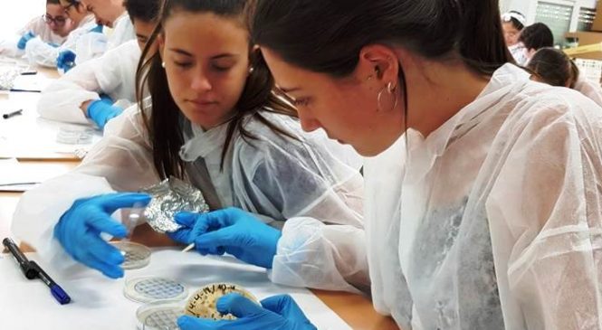 Microbiòlegs de l’IBB participen en el projecte Micro-Món de la UAB per obtenint una col·lecció de bacteris possibles productors d’antibiòtics.