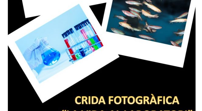 En el marc dels actes del 50è aniversari de l’IBB hem organitzat un crida fotogràfica