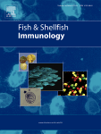 Dra. Nerea Roher and Dr. A Villaverde: Nanostructured recombinant protein particles raise specific antibodies against the nodavirus NNV coat protein in sole