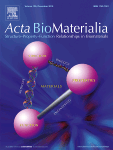 Dr. A. Villaverde: Self-assembling as regular nanoparticles dramatically minimizes photobleaching of tumor-targeted GFP