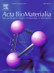 Dr. A. Villaverde: Collaborative membrane activity and receptor-dependent tumor cell targeting for precise nanoparticle delivery in CXCR4+ colorectal cancer