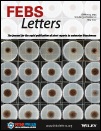 Perfecting prediction of mutational impact on the aggregation propensity of the ALS-associated hnRNPA2 prion-like protein. Salvador Ventura