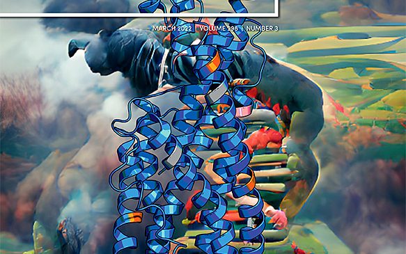 Protein Folding and Conformational Diseases: “The small aromatic compound SynuClean-D inhibits the aggregation and seeded polymerization of multiple α-synuclein strains”