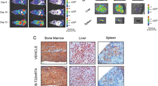 Selective CXCR4+ Cancer Cell Targeting and Potent Antineoplastic Effect by a Nanostructured Version of Recombinant Ricin
