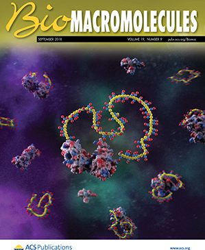 Dr. A. Villaverde: Conformational Conversion during Controlled Oligomerization into Nonamylogenic Protein Nanoparticles