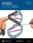 Protein Folding and Conformational Diseases: “Prion-like proteins: from computational approaches to proteome-wide analysis”