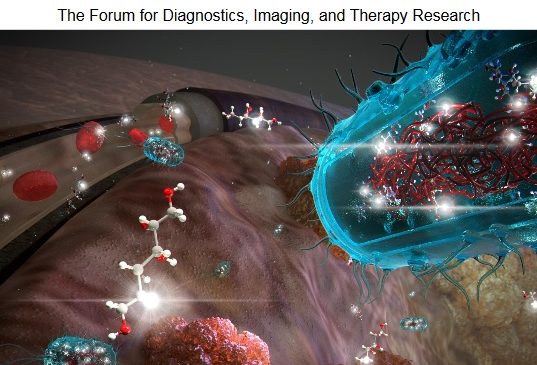 Nanobiotechnology “Selective delivery of T22-PE24-H6 to CXCR4+ diffuse large B-cell lymphoma cells leads to wide therapeutic index in a disseminated mouse model “