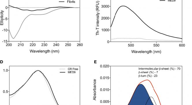 Protein Folding and Conformational Diseases: “Exploring cryptic amyloidogenic regions in prion-like proteins from plants”