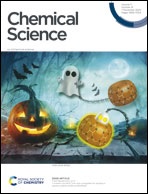 Protein Folding and Conformational Diseases. “Atomistic fibrillar architectures of polar prion-inspired heptapeptides”