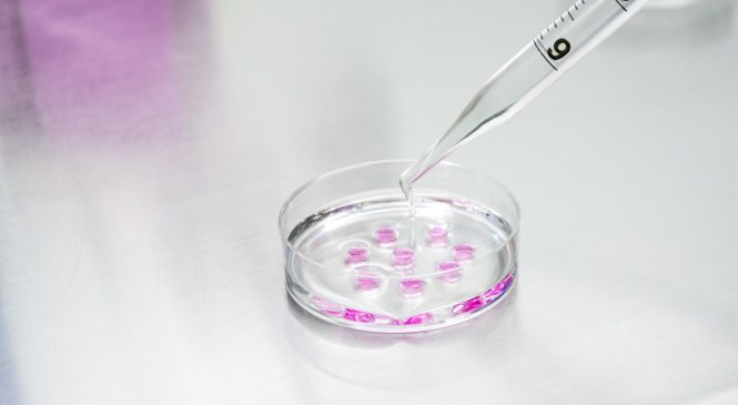 Genètica Molecular Bacteriana:  Dins les activitats d’estiu de l’ICE, hem preparat un paquet de cursos dissenyats amb la voluntat de facilitar el coneixement del món universitari i millorar l’orientació acadèmica de l’alumnat de 3r i 4t d’ESO, Batxillerat i Cicles Formatius.
