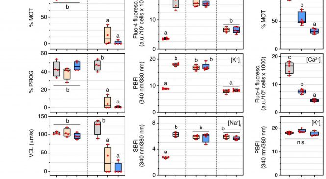 Protein Folding and Conformational Diseases: “Benchmarks in antimicrobial peptide prediction are biased due to the selection of negative data”