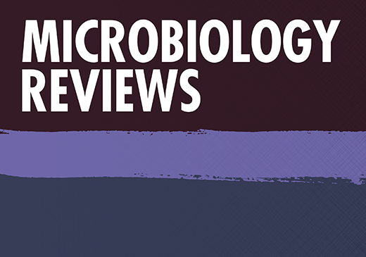 Dr. A. Villaverde: Bacterial inclusion bodies are industrially exploitable amyloids