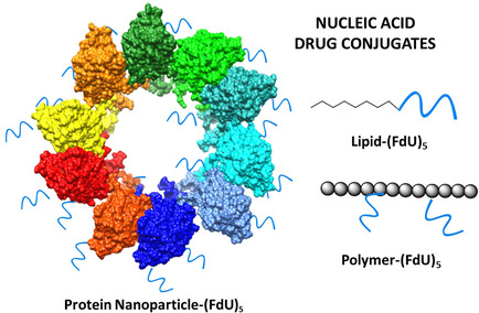 Dr. A Villaverde : Efficient bioactive oligonucleotide‐protein conjugation for cell‐targeted cancer therapy