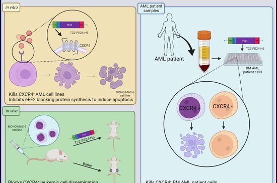 Nanobiotechnology: “T22-PE24-H6 Nanotoxin Selectively Kills CXCR4-High Expressing AML Patient Cells In Vitro and Potently Blocks Dissemination In Vivo”