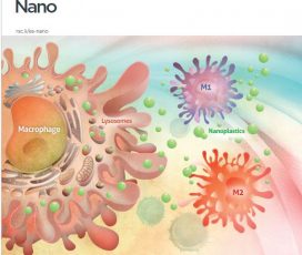 Evolutive Immunology: “Polystyrene nanoplastics target lysosomes interfering with lipid metabolism through the PPAR system and affecting macrophage functionalization”