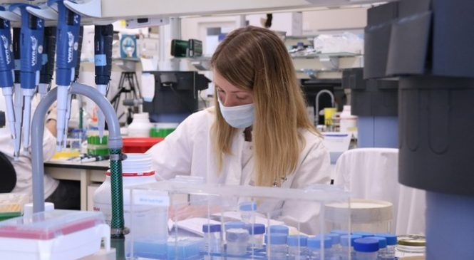 La UAB reprèn l’activitat científica als laboratoris que havia quedat suspesa a causa de la covid-19
