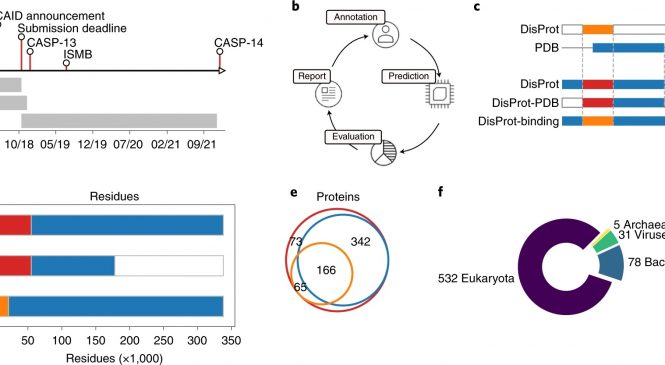 Protein Folding and Conformational Diseases: “Critical assessment of protein intrinsic disorder prediction”