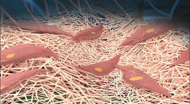 Nanobiotechnology “Engineering Protein Nanoparticles Out from Components of the Human Microbiome”