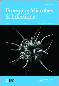 Dr. E. Querol (Transcriptional response to metal starvation in the emerging pathogen Mycoplasma genitalium is mediated by Fur-dependent and –independent regulatory pathways)