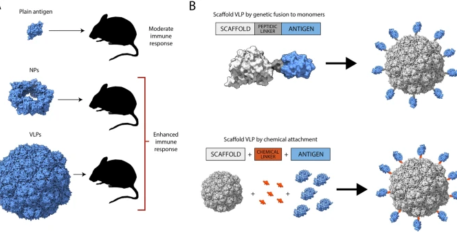 Nanobiotechnology: “Recombinant vaccines in 2022: a perspective from the cell factory”