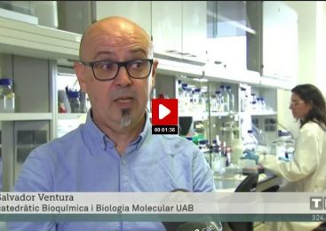 Nanopartícules creades a l´IBB – UAB impedeixen que el virus de la covid infecti