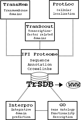 TrSDB for Web Interface and Analysis