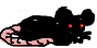 rat Logo